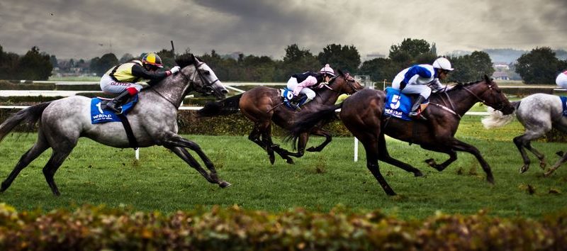 3 Tips on how to improve your Horse Racing Bets